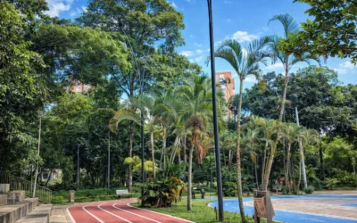 Parque Los Leones